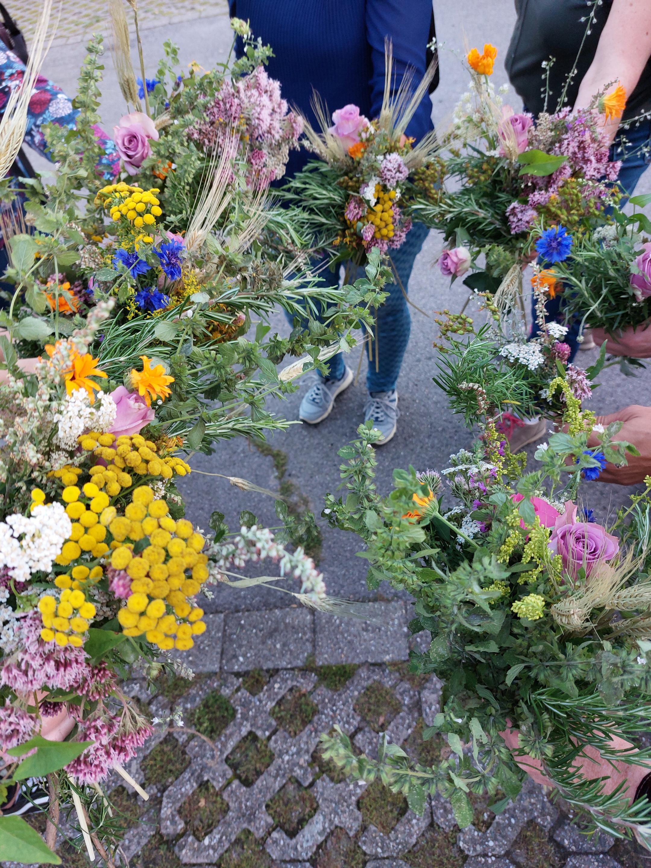 Kräuterwanderung zum Fest der Aufnahme Mariens in den Himmel