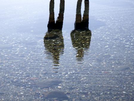 Reflexion im Wasser (c) tunaolger/pixabay Reflexion im Wasser