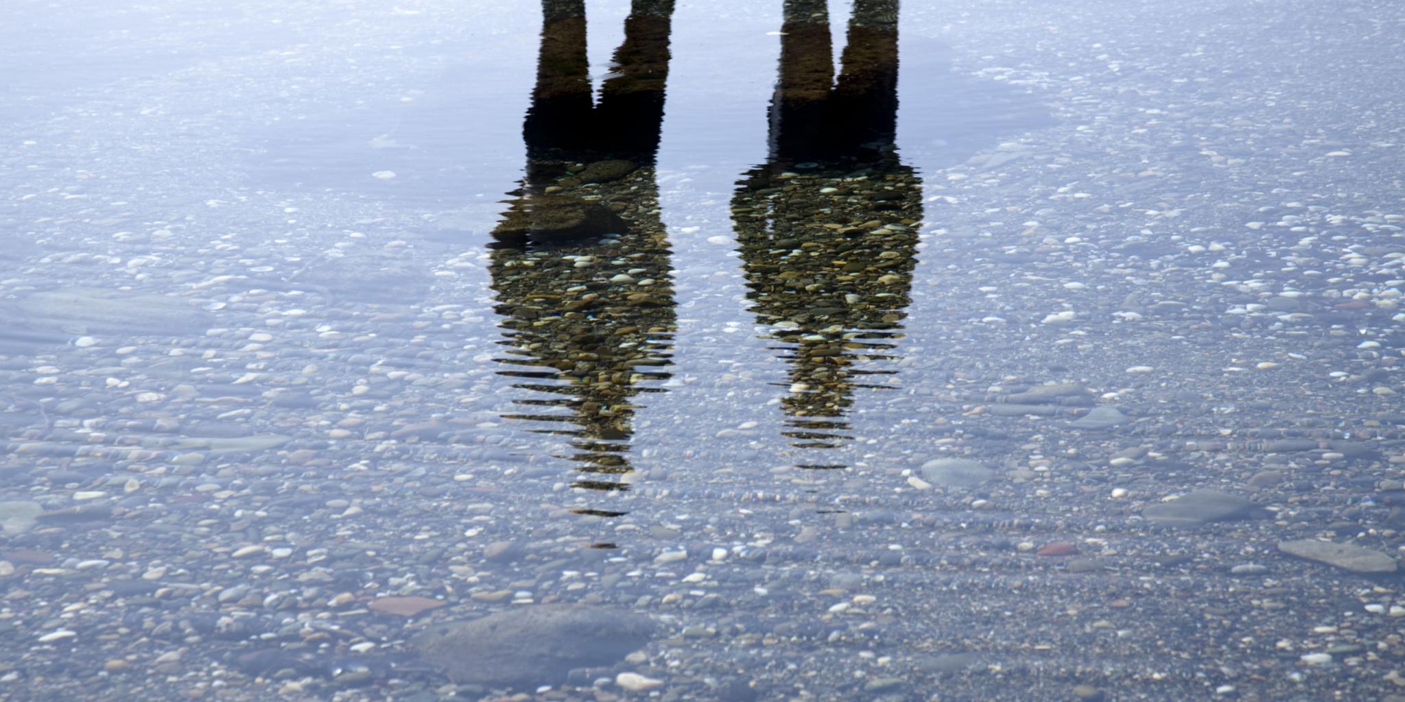 Reflexion im Wasser