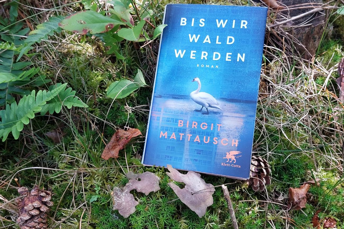 Buchcover 'Bis wir Wald werden' (Birgit Mattausch) (c) Angela Reinders/Bischöfliche Akademie Buchcover 'Bis wir Wald werden' (Birgit Mattausch)