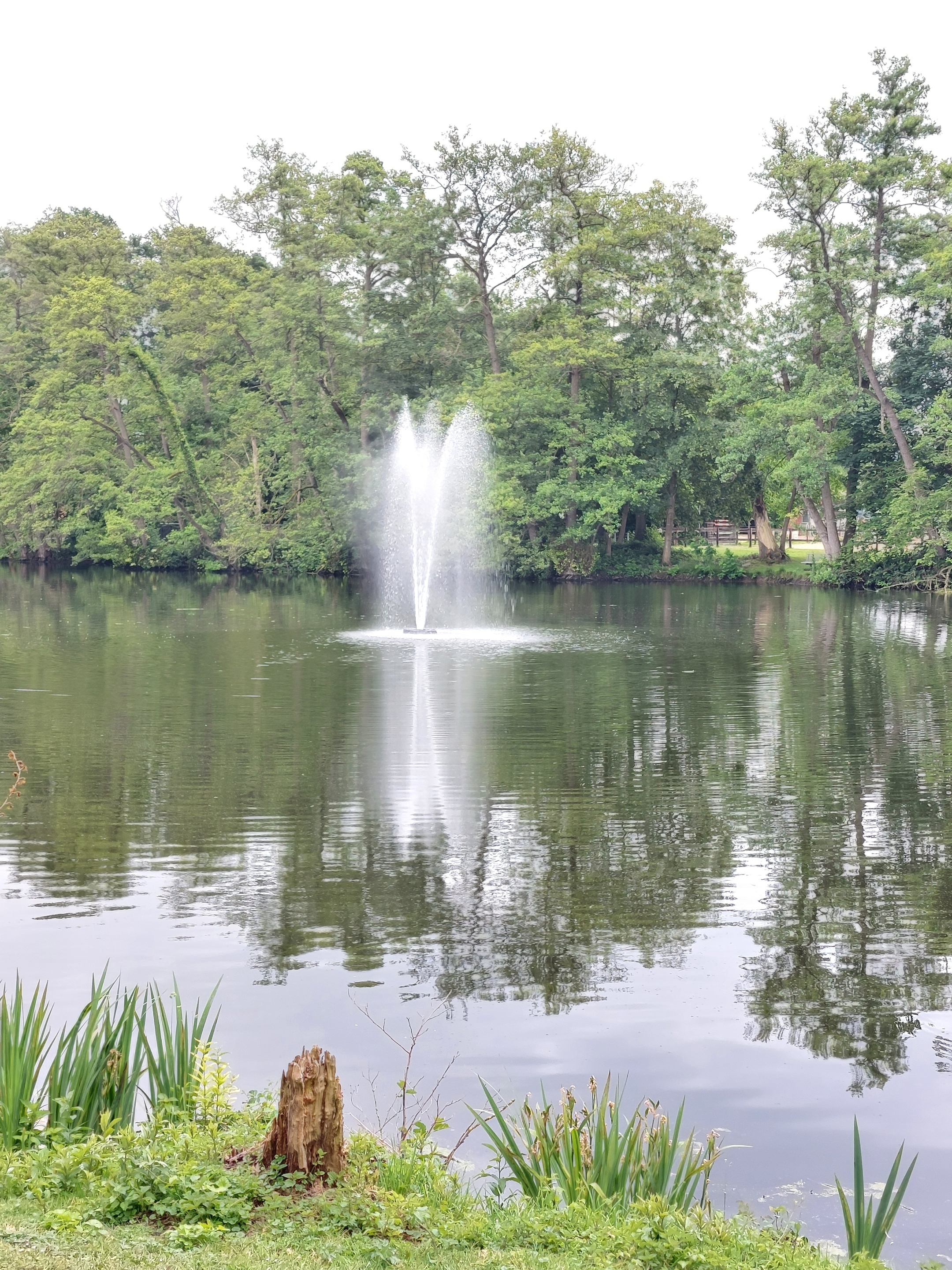 Eine Wasserfontäne im Teich vor der Wasserburg Rindern in Kleve.