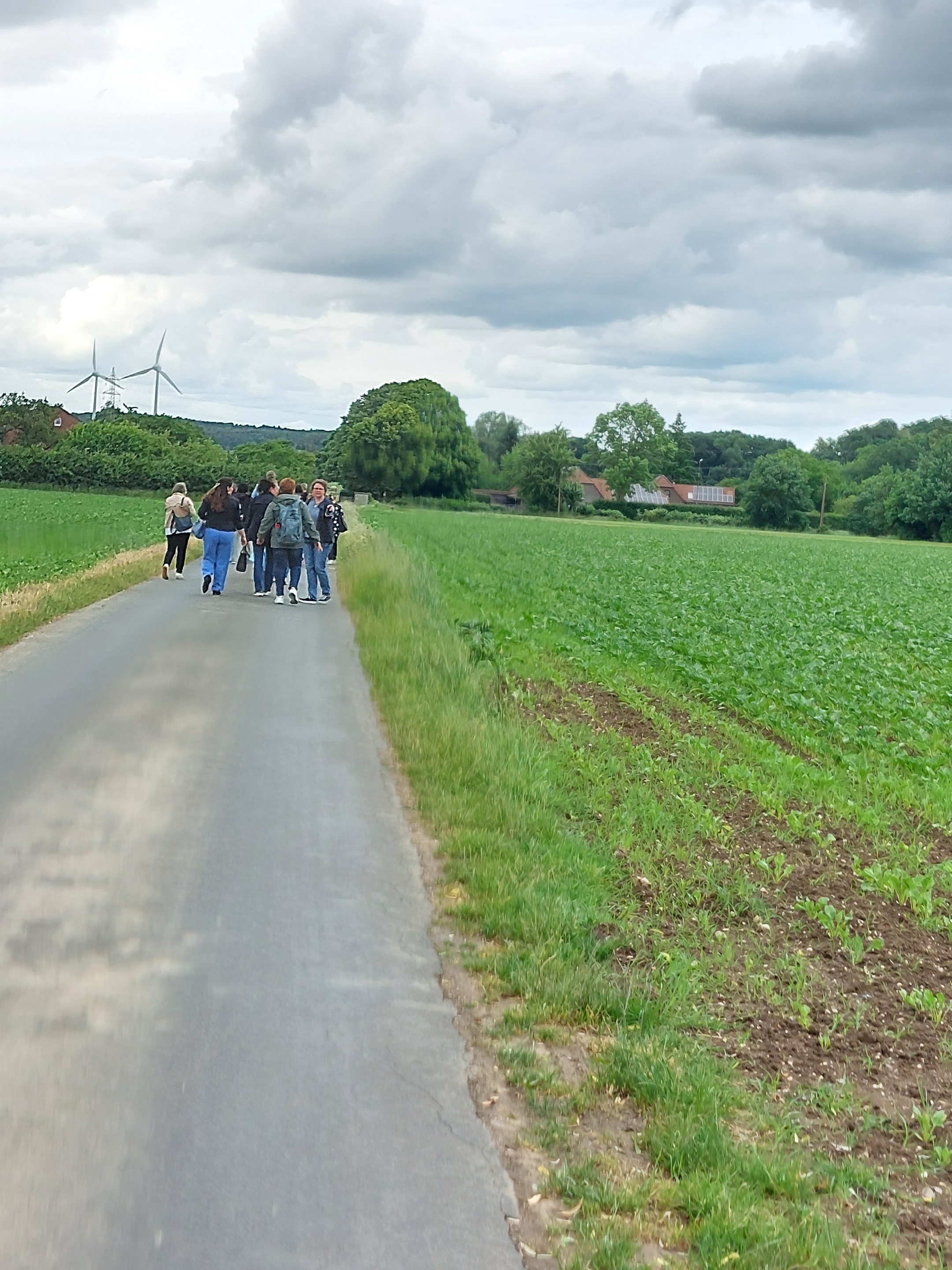 Team der Akademie des Bistums Aachen auf einem Spazierweg bei Sonsbeck, von hinten fotografiert.