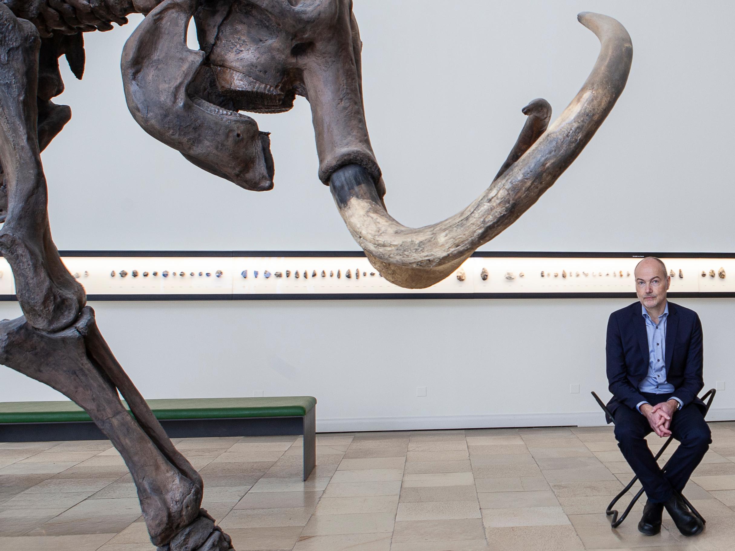 Ein Mann, der Autor Kai Michel, sitzt in einem Museum auf einem Hocker neben einem Skelett eines Elefanten