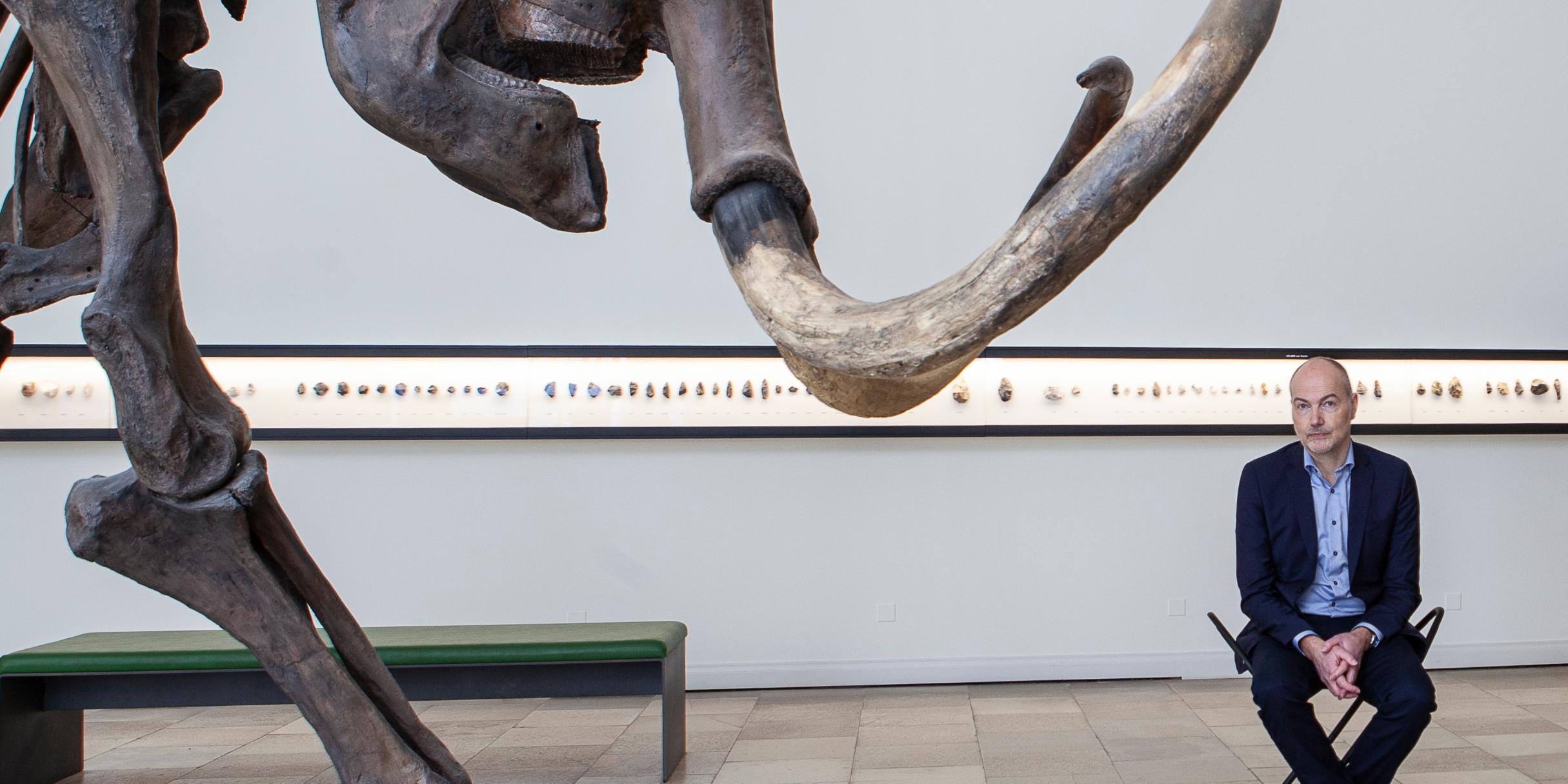 Ein Mann, der Autor Kai Michel, sitzt in einem Museum auf einem Hocker neben einem Skelett eines Elefanten