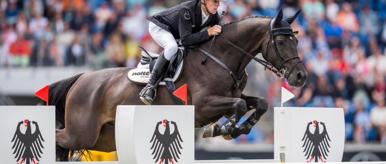 Springreiter auf dem Pferd springt über ein Hindernis auf dem Parcours.