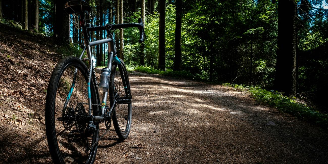David-Hellmann_unsplash (c) David Hellmann/unsplash Rad im Wald