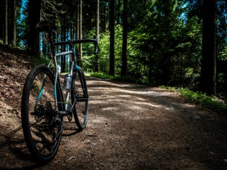 David-Hellmann_unsplash (c) David Hellmann/unsplash Rad im Wald