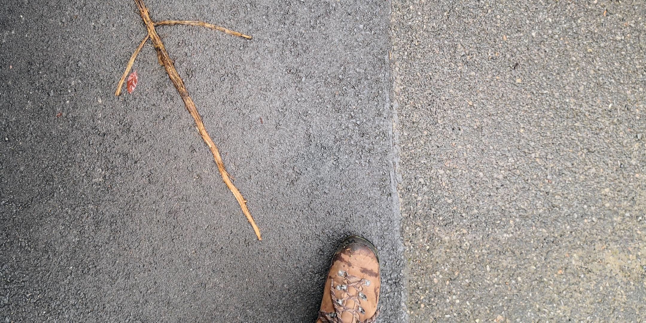 Blick von oben auf zwei Füße mit Wanderschuhen in Schrittstellung, sie folgen einem Pfels