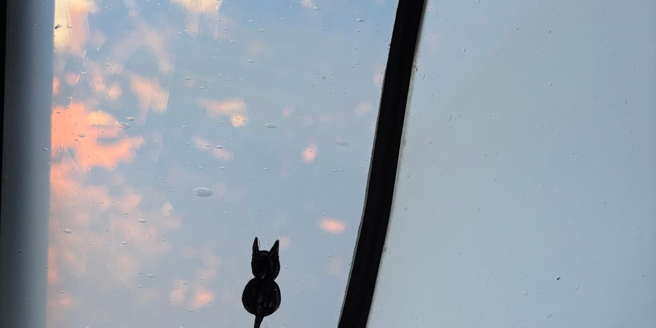 Eine Glasmalerei als Fenster in einem Kloster, eine kleine schwarze Katze mit dem Rücken zum Betrachter als Signatur der Künstlerin, Maria Katzgrau