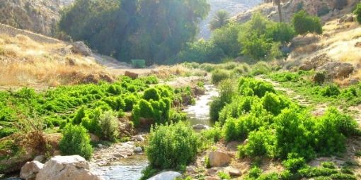Das Bild ist im Wadi Qelt zwischen Jericho und Jerusalem aufgenommen, wo die Erzählung vom barmherzigen Samariter spielt. 