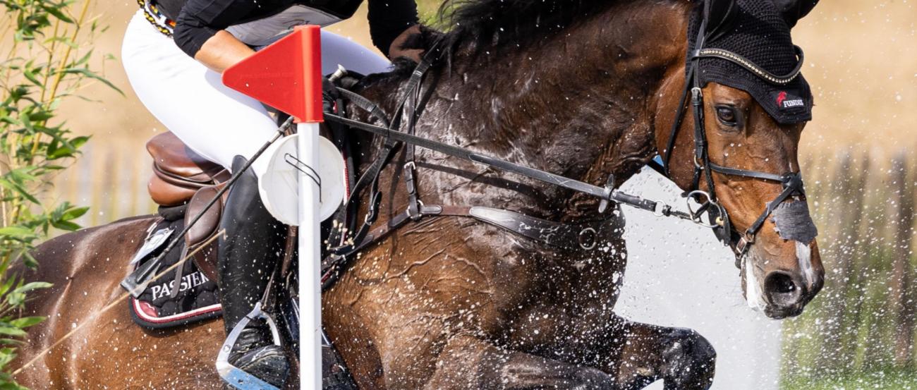 Julia Krajewski, Siegerin im SAP-Cup 2024, CHIO Aachen