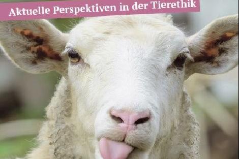 www.bischoefliche-akademie-ac.de (c) pixabay www.bischoefliche-akademie-ac.de