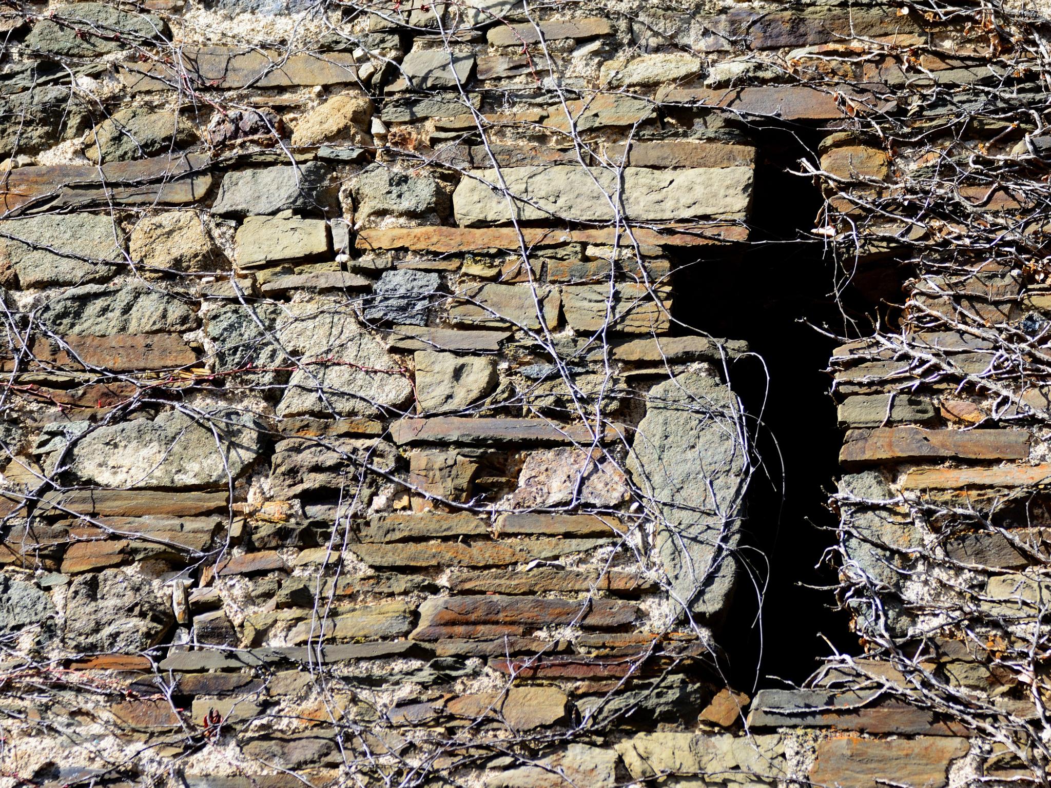 Eine bewachsene Steinmauer, darin ein Loch in Kreuzform.
