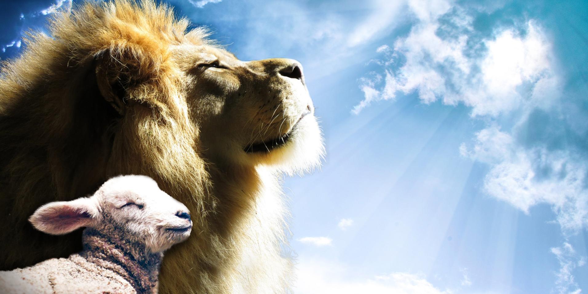 Löwe und Lamm nebeneinander schauen in den blauen Himmel.