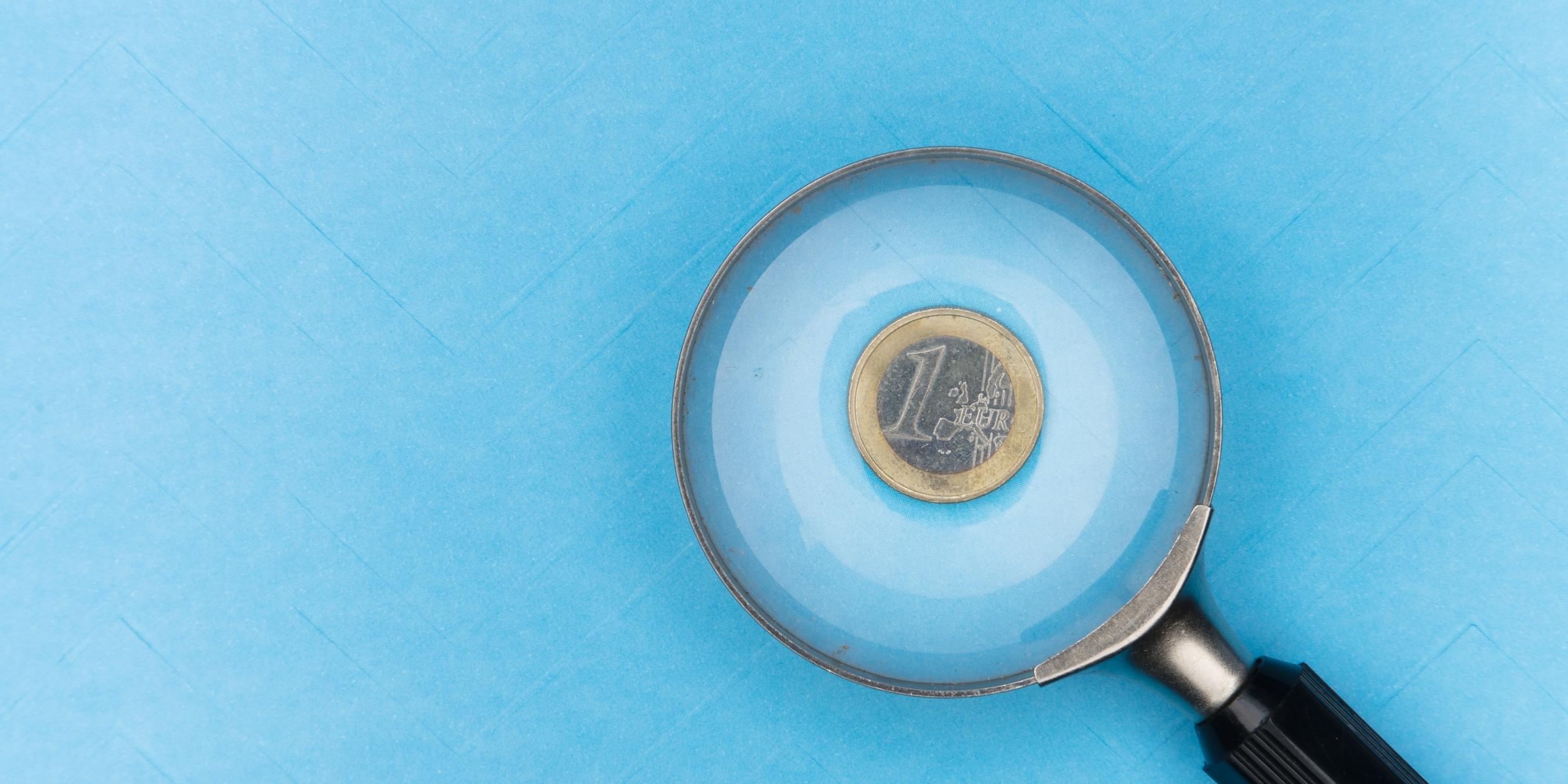 Euro unter der Lupe