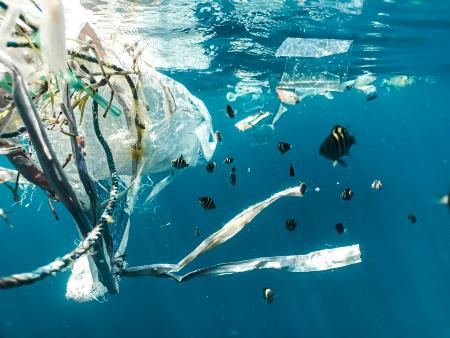 Plastik im Meer (c) Naja Bertolt Jensen/unsplash Plastik im Meer