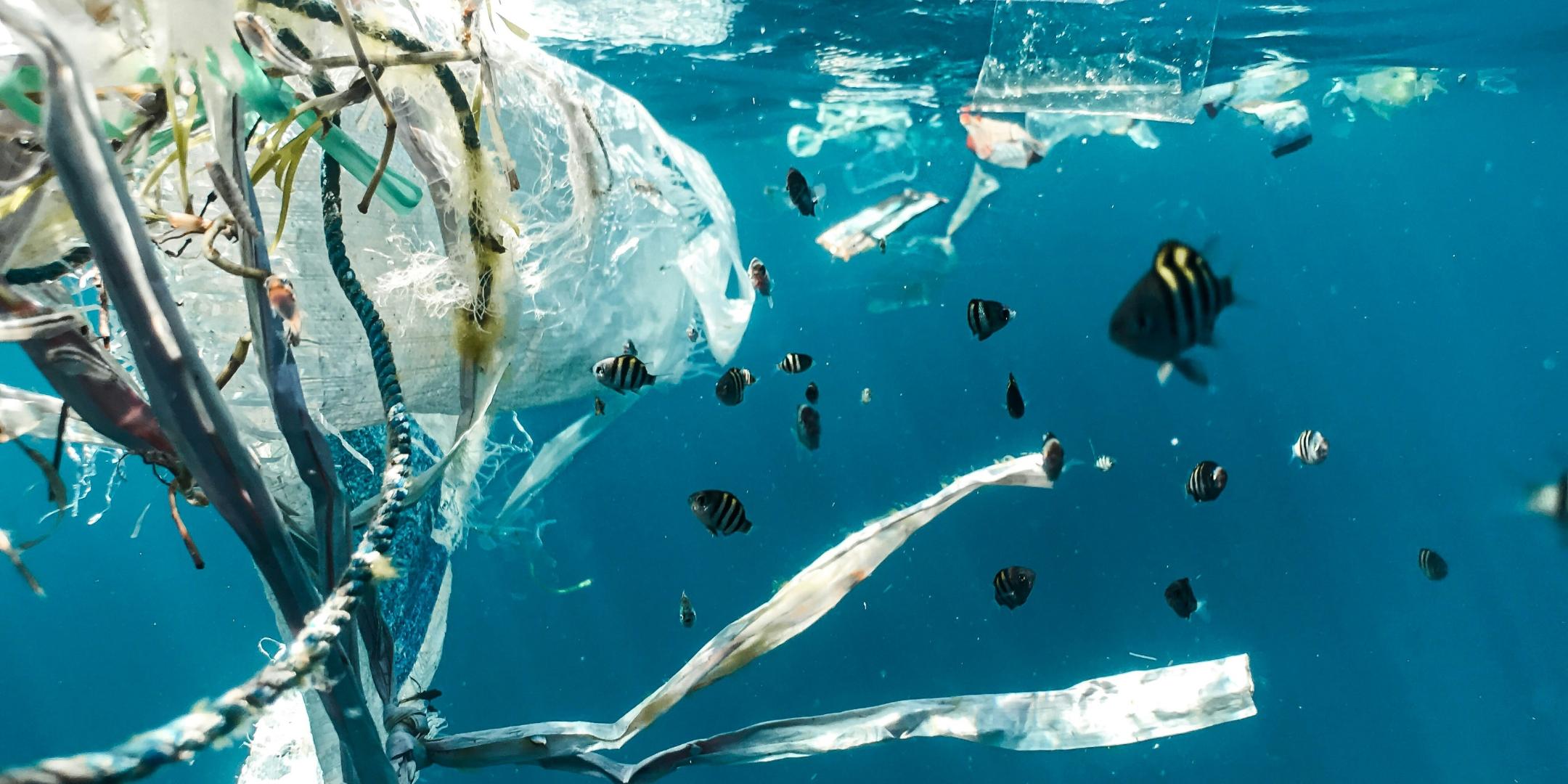Plastik im Meer