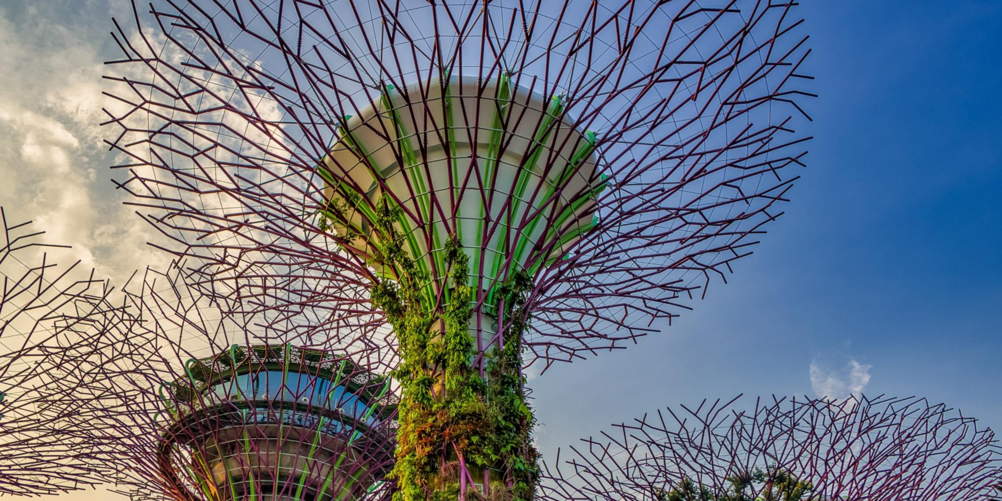 Eine Baumkonstruktion aus Stahl, mit echten Pflanzen bewachsen und oben verästelt.