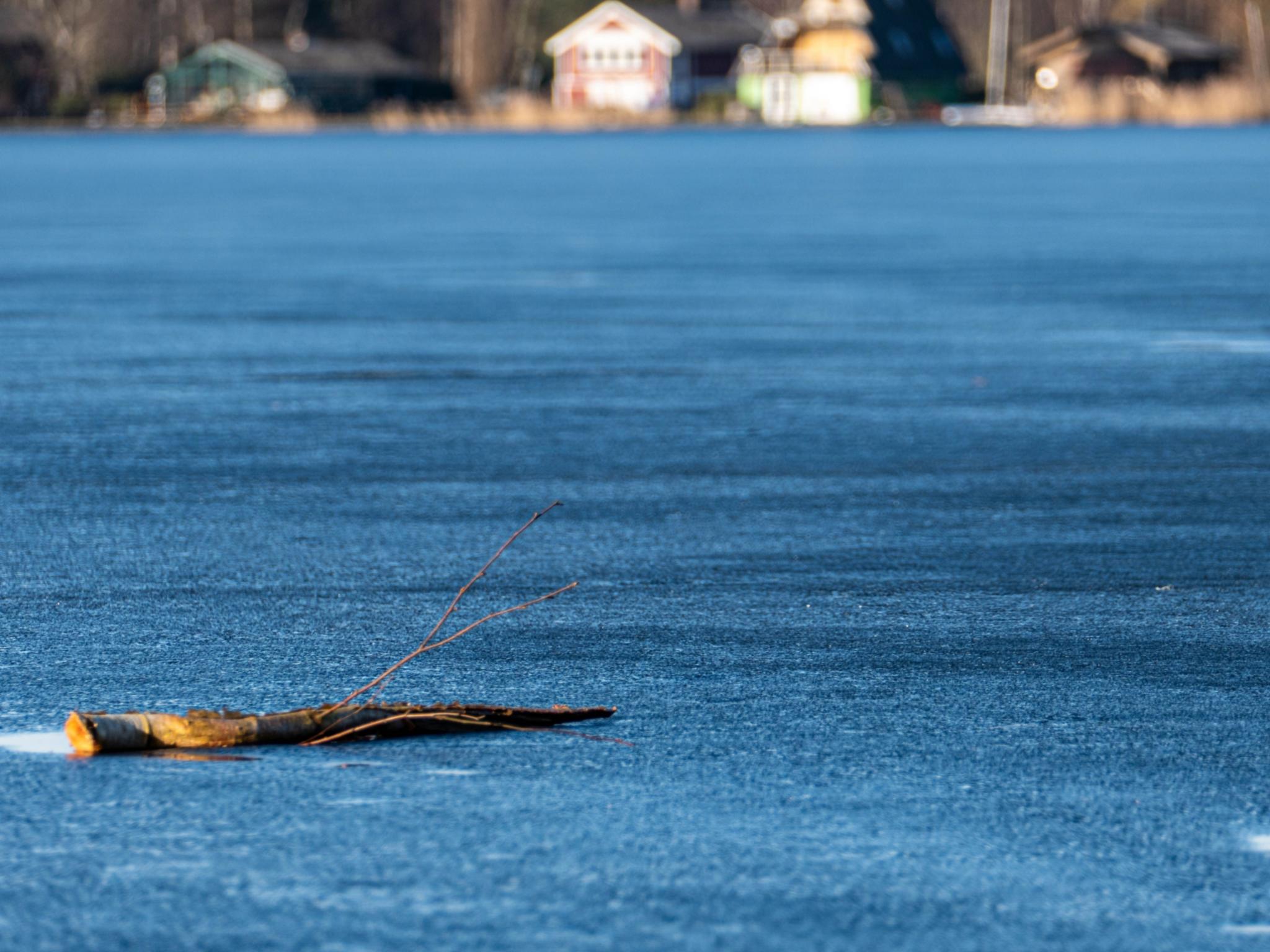 Holzstamm treibt im Wasser