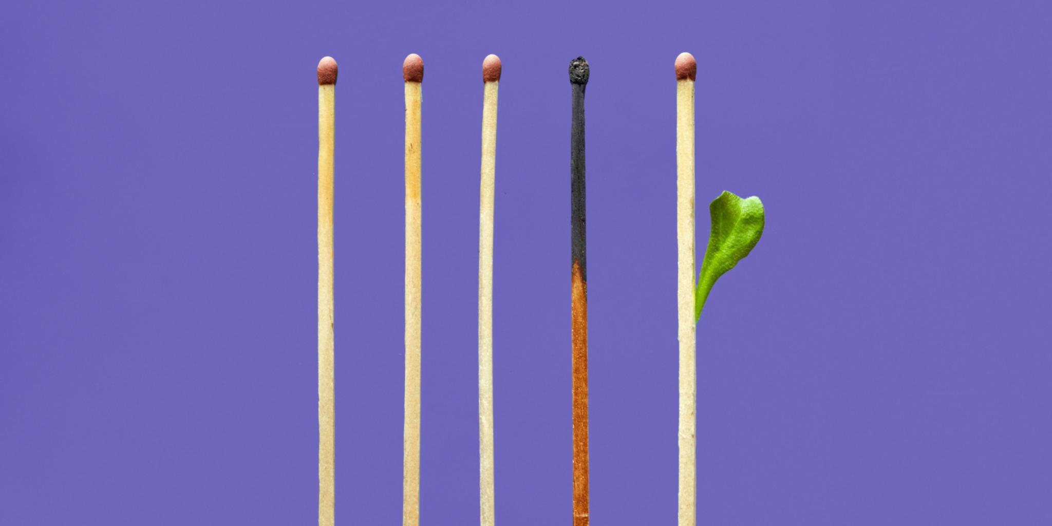 Fünf Streichhölzer, das zweite von rechts ist abgebrannt, dasjenige ganz rechts treibt ein Blättchen aus wie eine junge Pflanze.