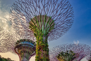 Supertree (Singapur)