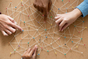 Zusammenarbeit und Vernetzung