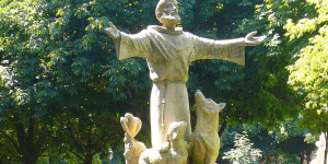 Zarateman_Franziskus_Assisi_SanFrancisco