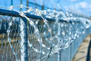 tungart7-fence-86765